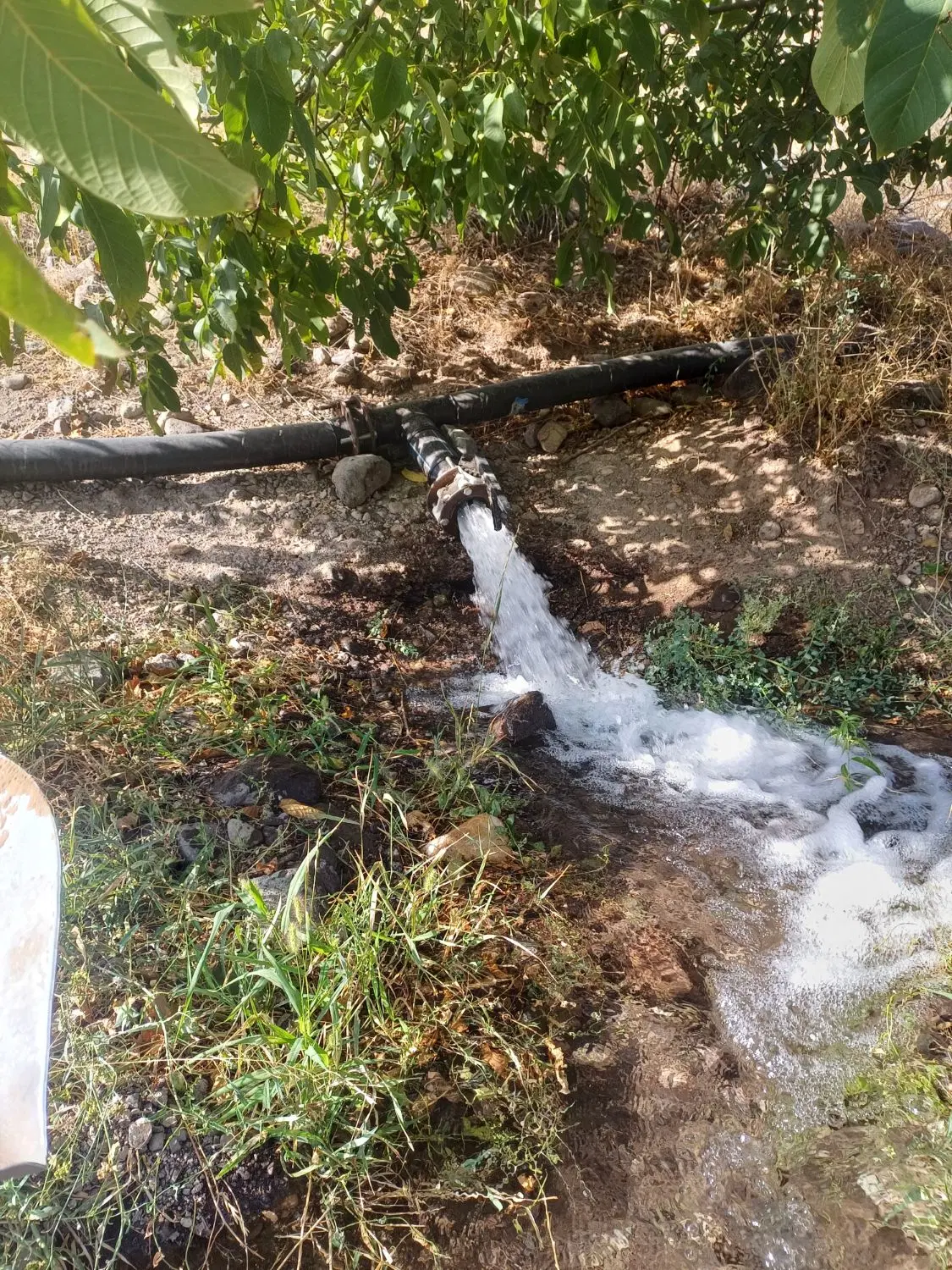 فروش  زمین دیمی