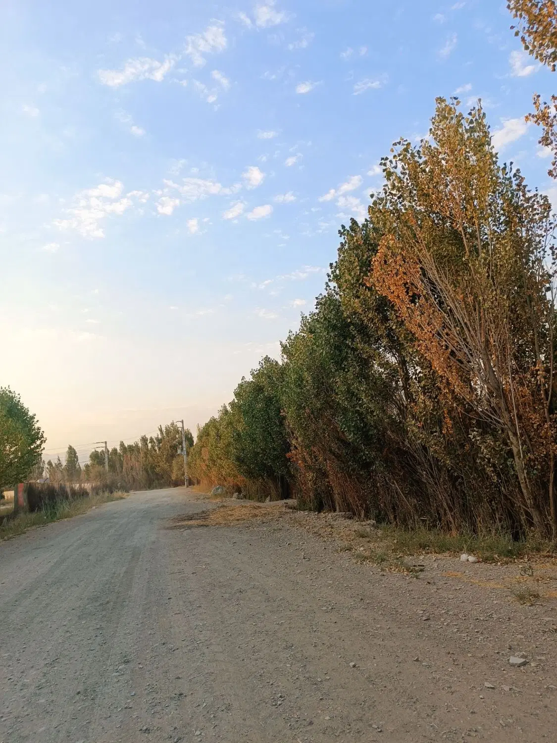 فروش زمین 1000متری باغی کارگاهی