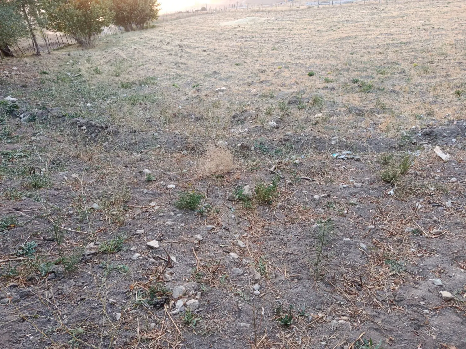 فروش زمین باغی