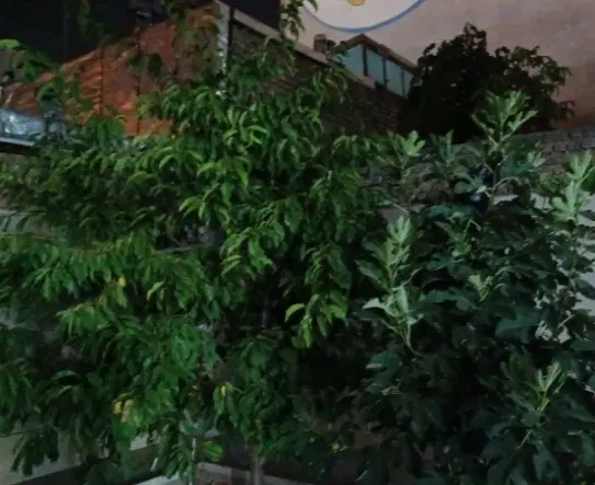 خانه ویلایی شهرک شهدا ۳۰۰متر