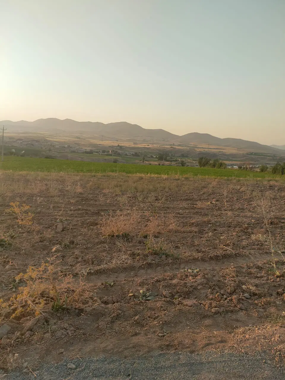 زمین قطعه ای