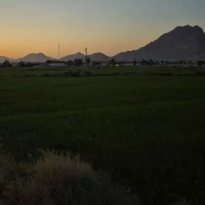 زمین باغ ویلا