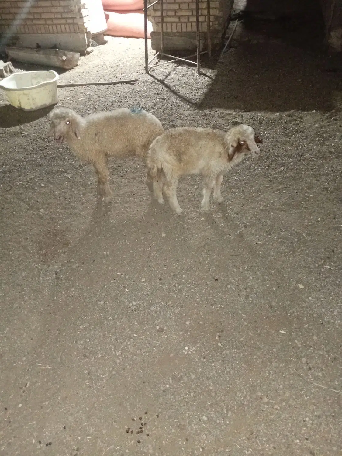 خرمشهر