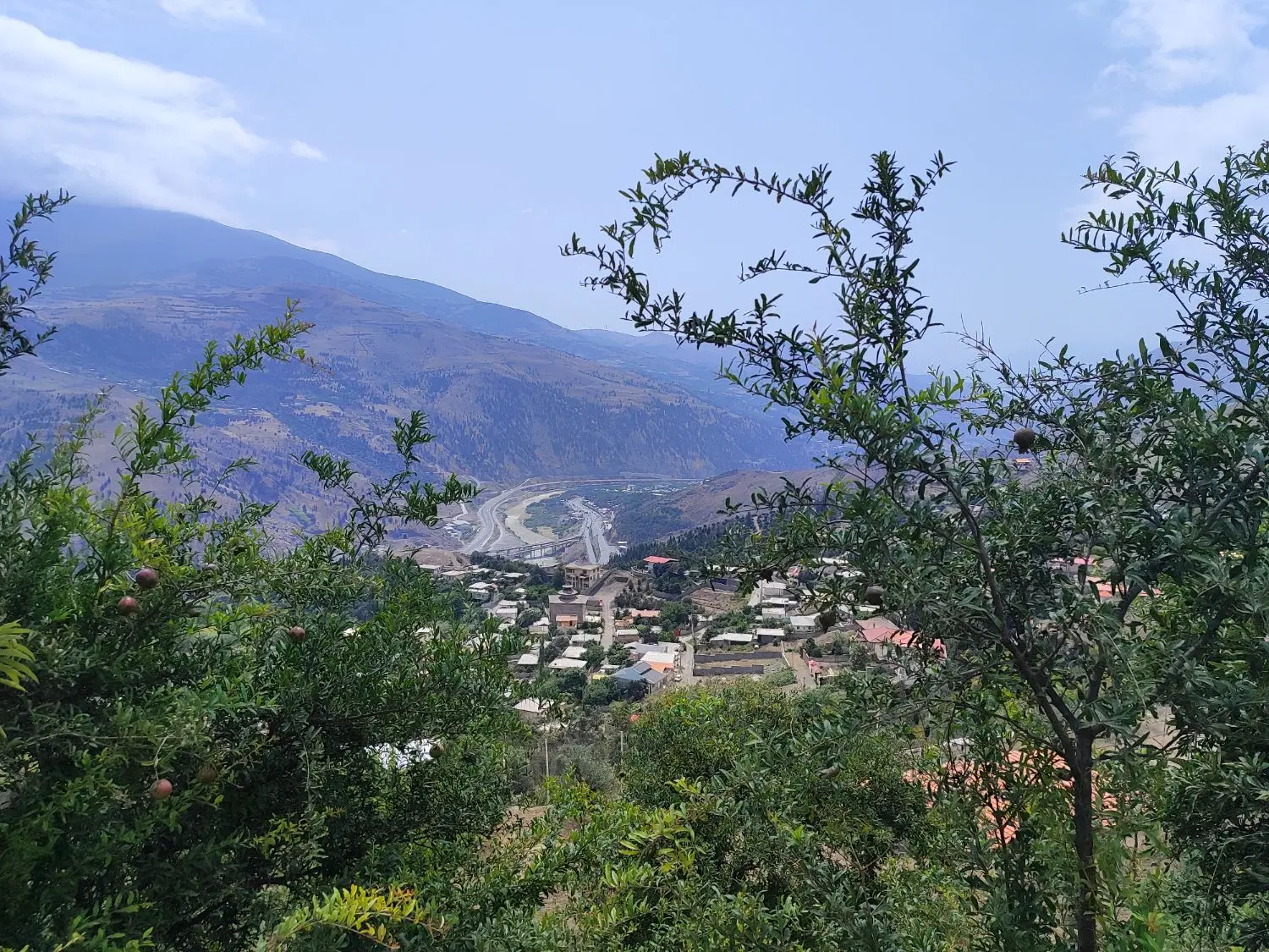 باغ ویلا