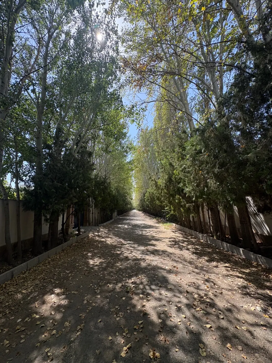 باغچه