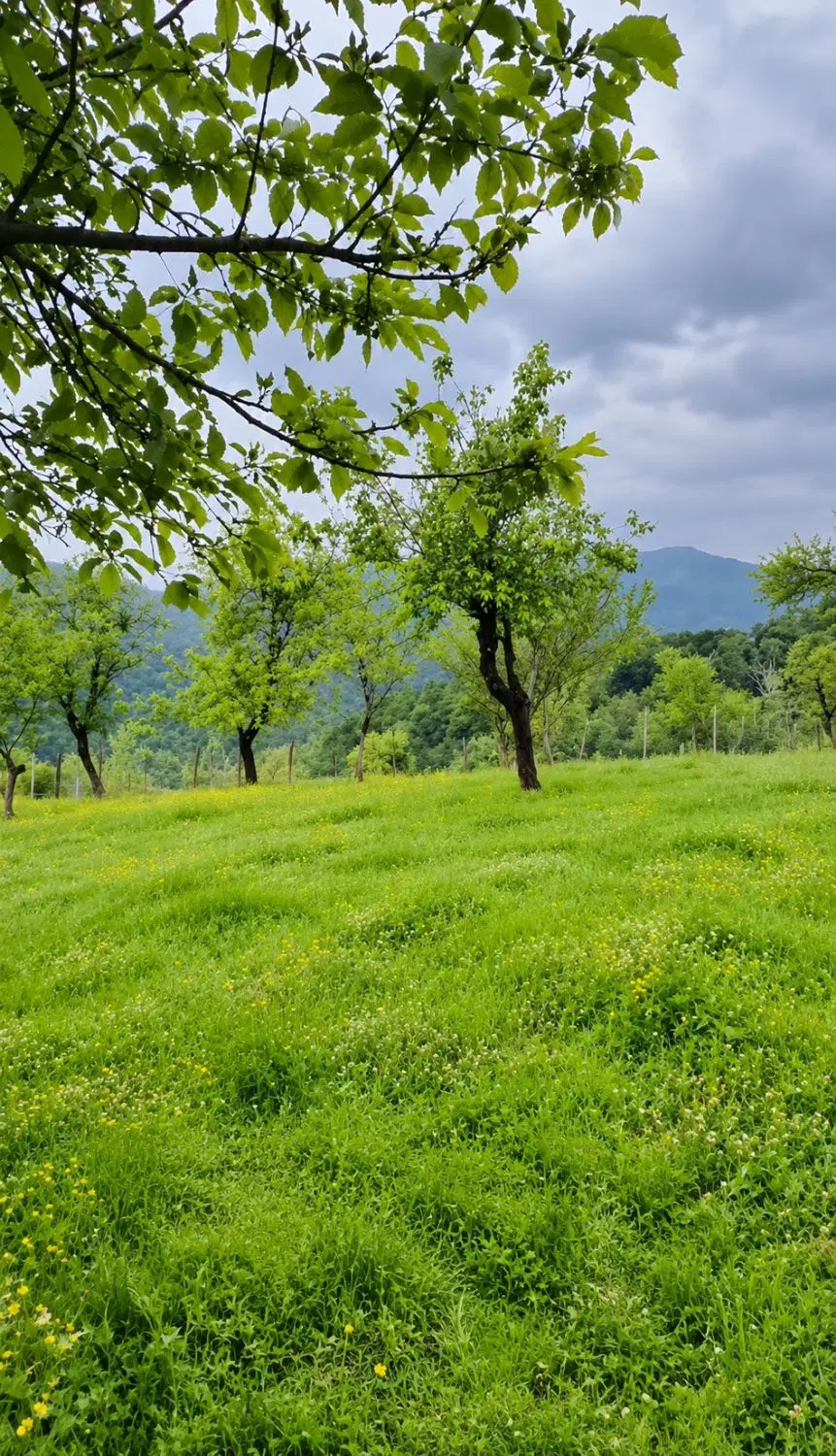 فروش زمین