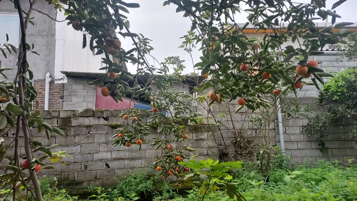 زمین ۳۰۸ متری روستای جعفرآباد سند تکبرگ مسکونی