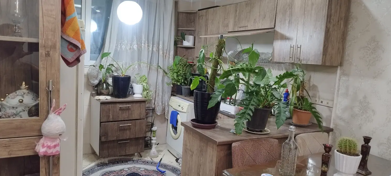 همخونه