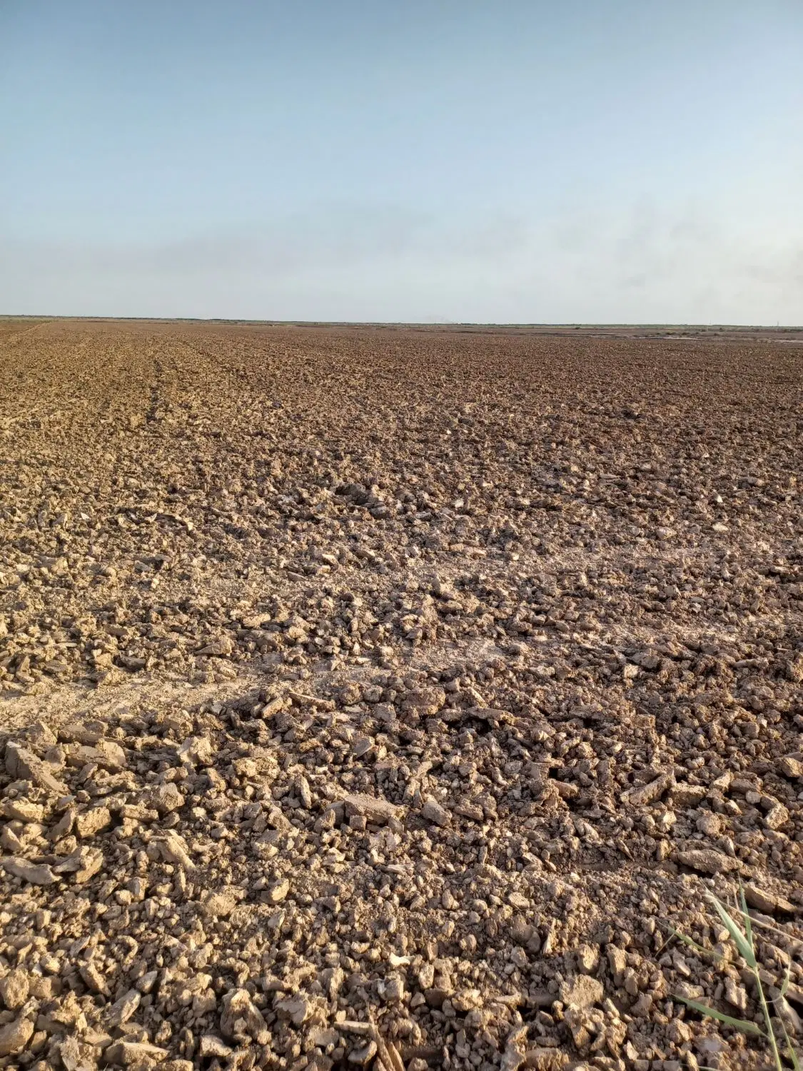 جهت اجاره کشت شلتوک غرب کارون روستای ام الخرجین