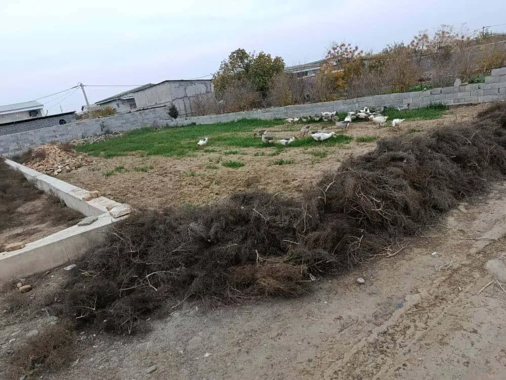 زمین ۳۰۰ متری روستای کملر (دارای کاربری + وام)