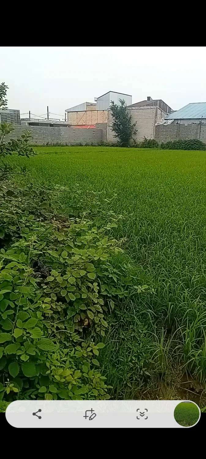 زمین بیداری حدود چها هزار متر