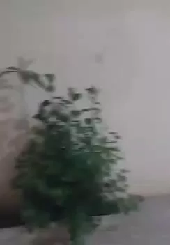 منزل آپارتمان ۲ خوابه دربست