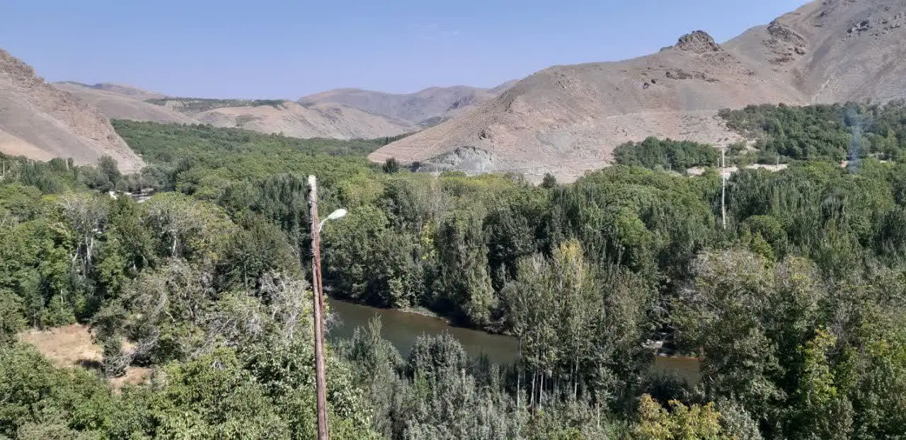 فروش باغ