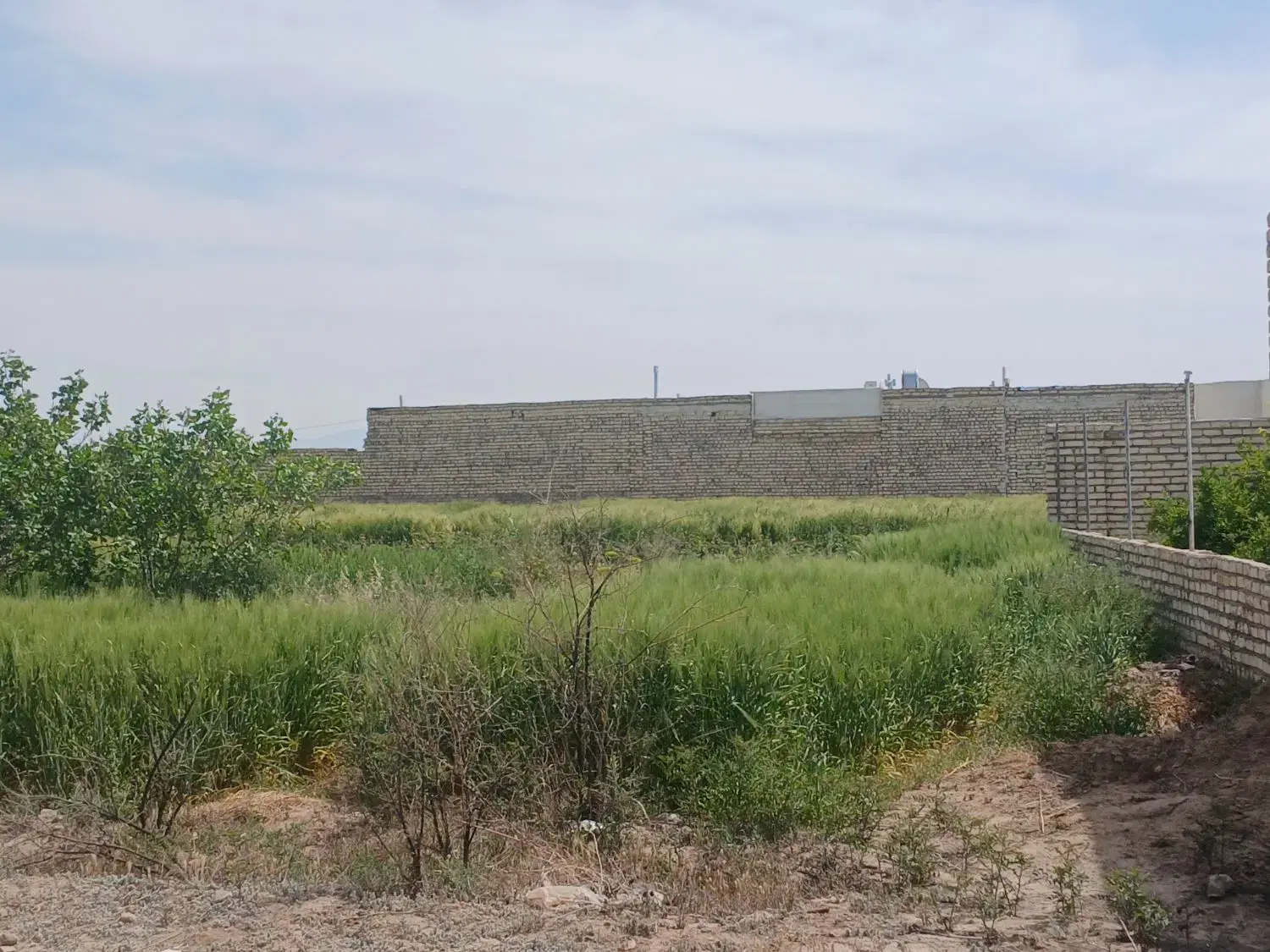 زمین وباغ کشاورزی دشت اقبالیه نوشاباد بطرف کاشان