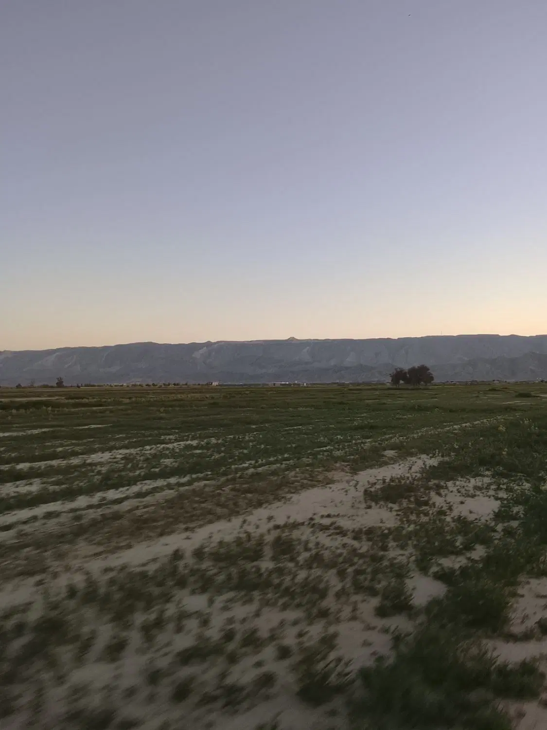 فروش زمین باغی