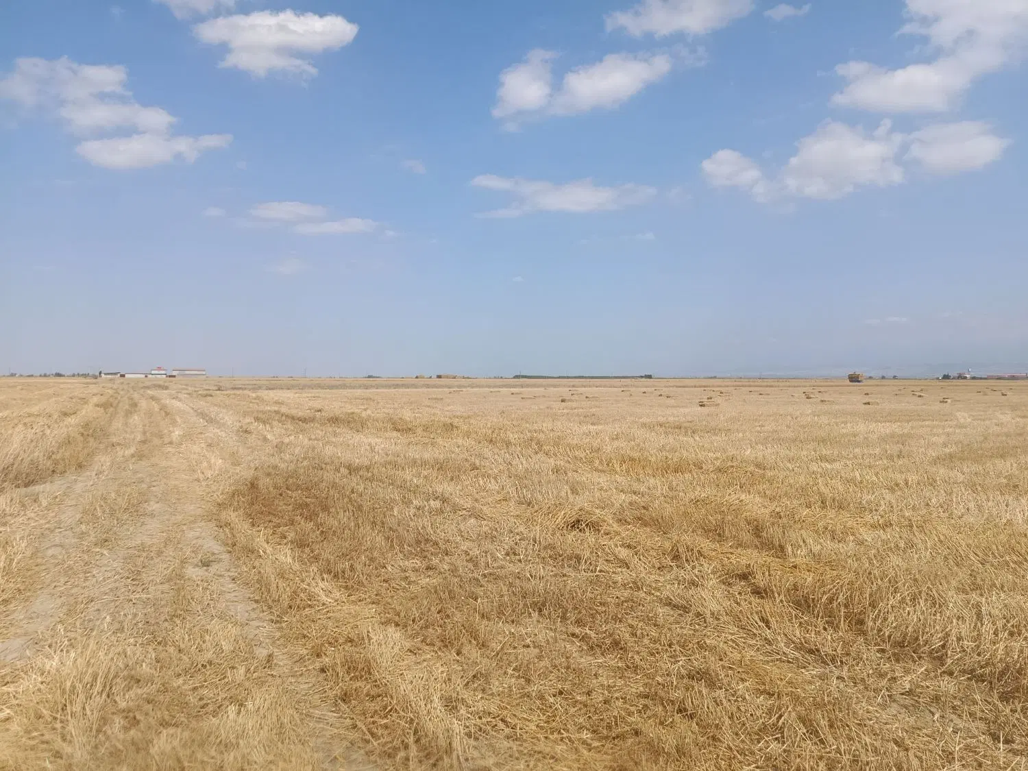 فروش زمین کشاورزی با سند ششدانگ