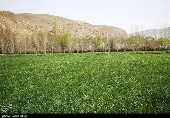 فروش باغ در بهترین لوکیشن گهواره