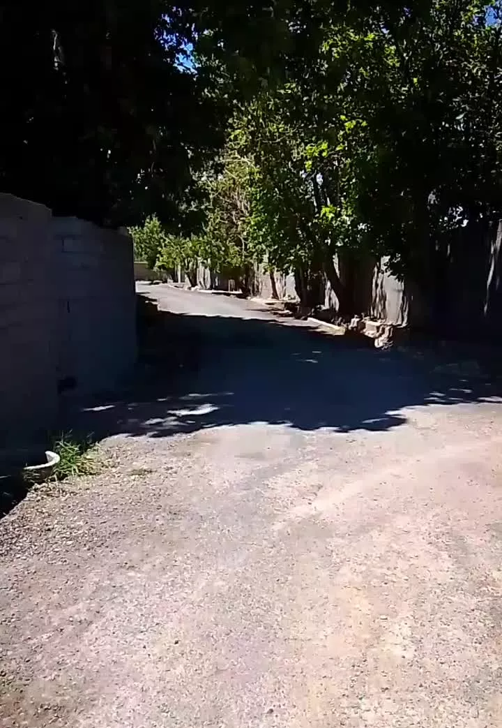 باغ و باغچه_چهار دیواری_نامه برائت