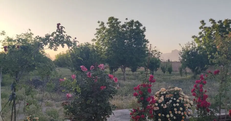 باغ و ویلا