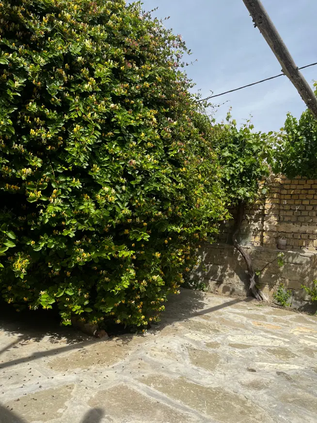 نیازمند خانه کاملا دربست