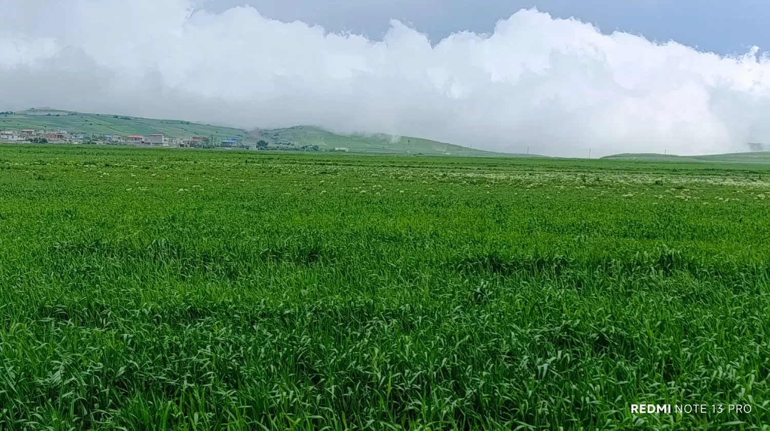زمین کشاورزی روستایی دگرماندرق توابع نمین فندقلو