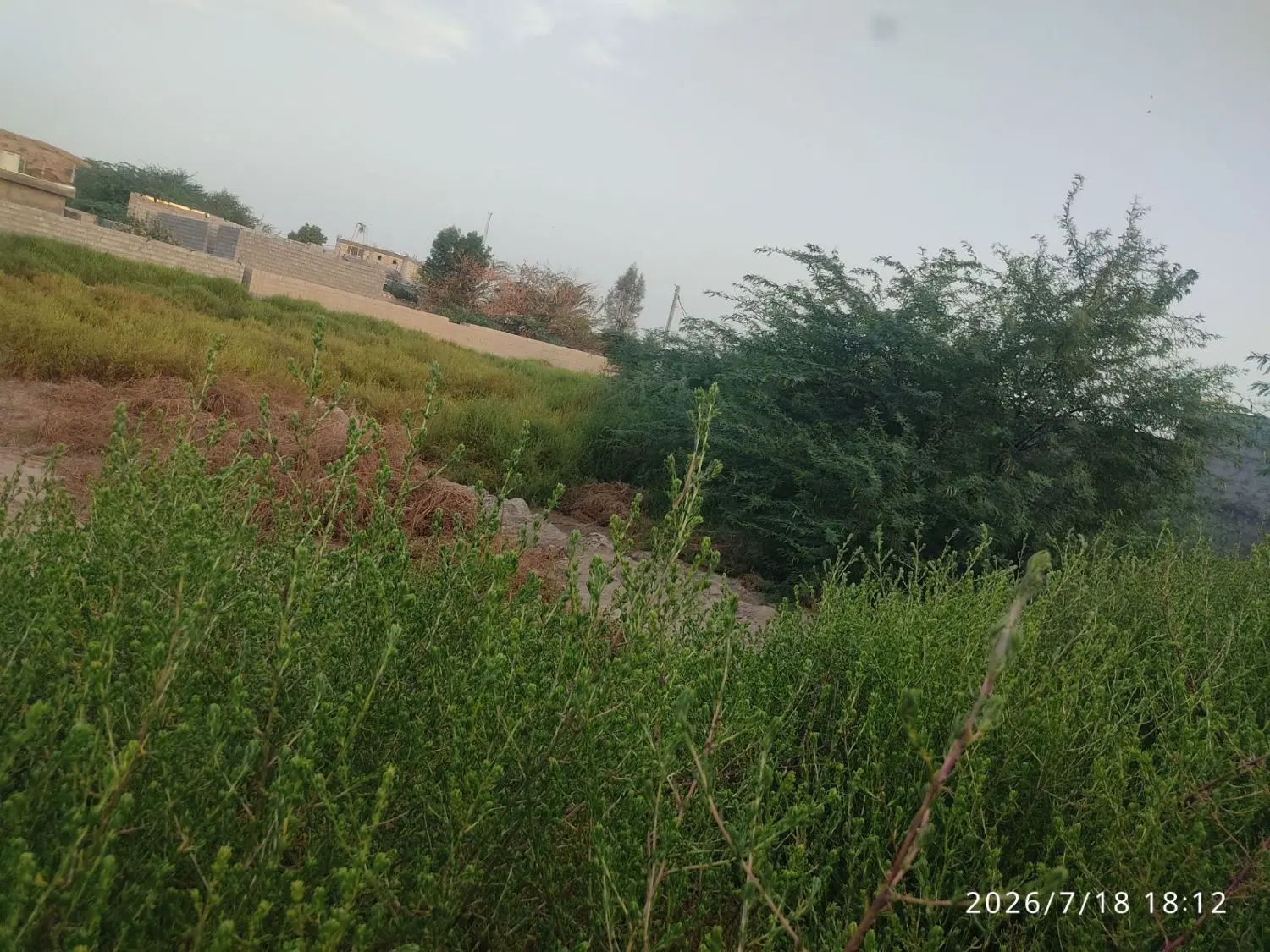 زمین 500متری روستای باغو