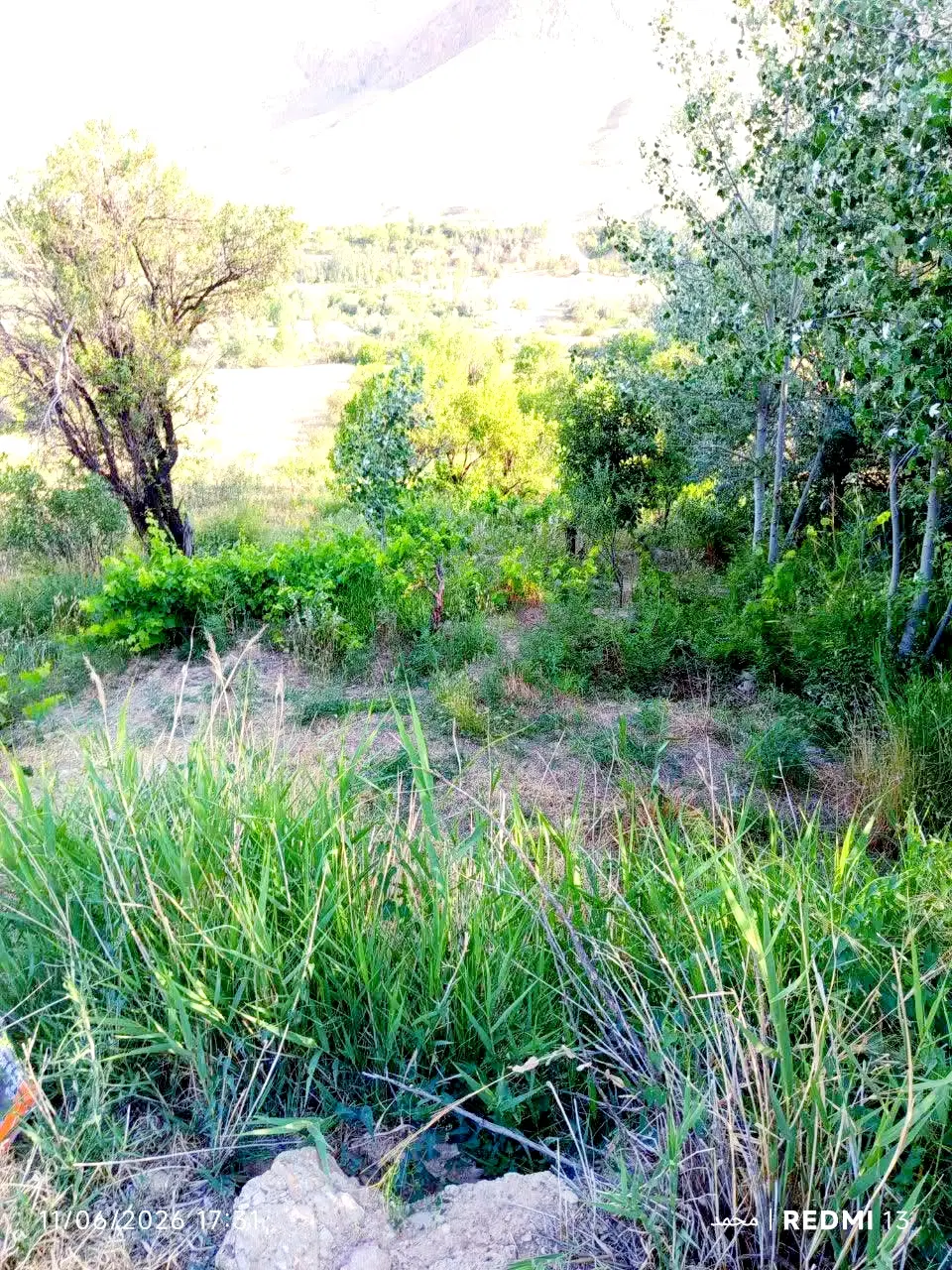 باغ انگور  آب سر باغ  روستای طاهره خاتون