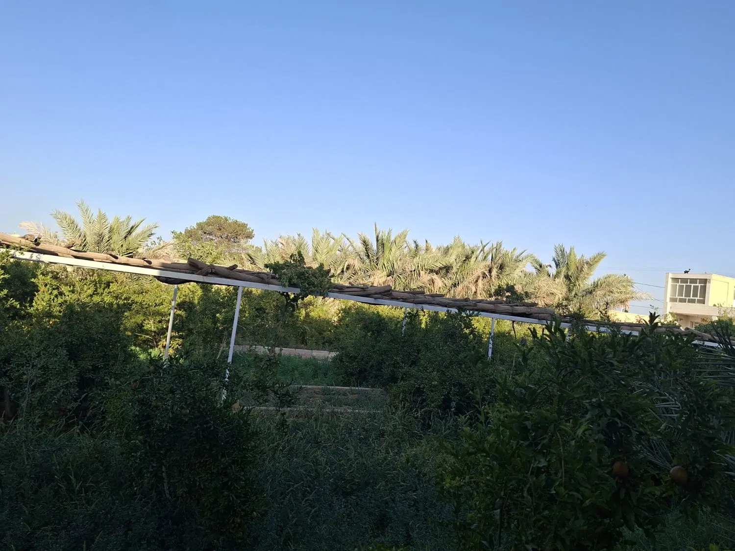 فروش ویلا باغ