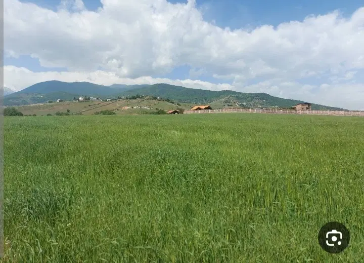 زمین فروشی