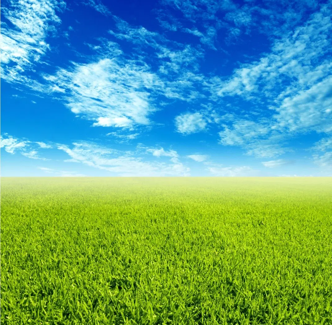 زمین ۱۰۰ متری فروشی