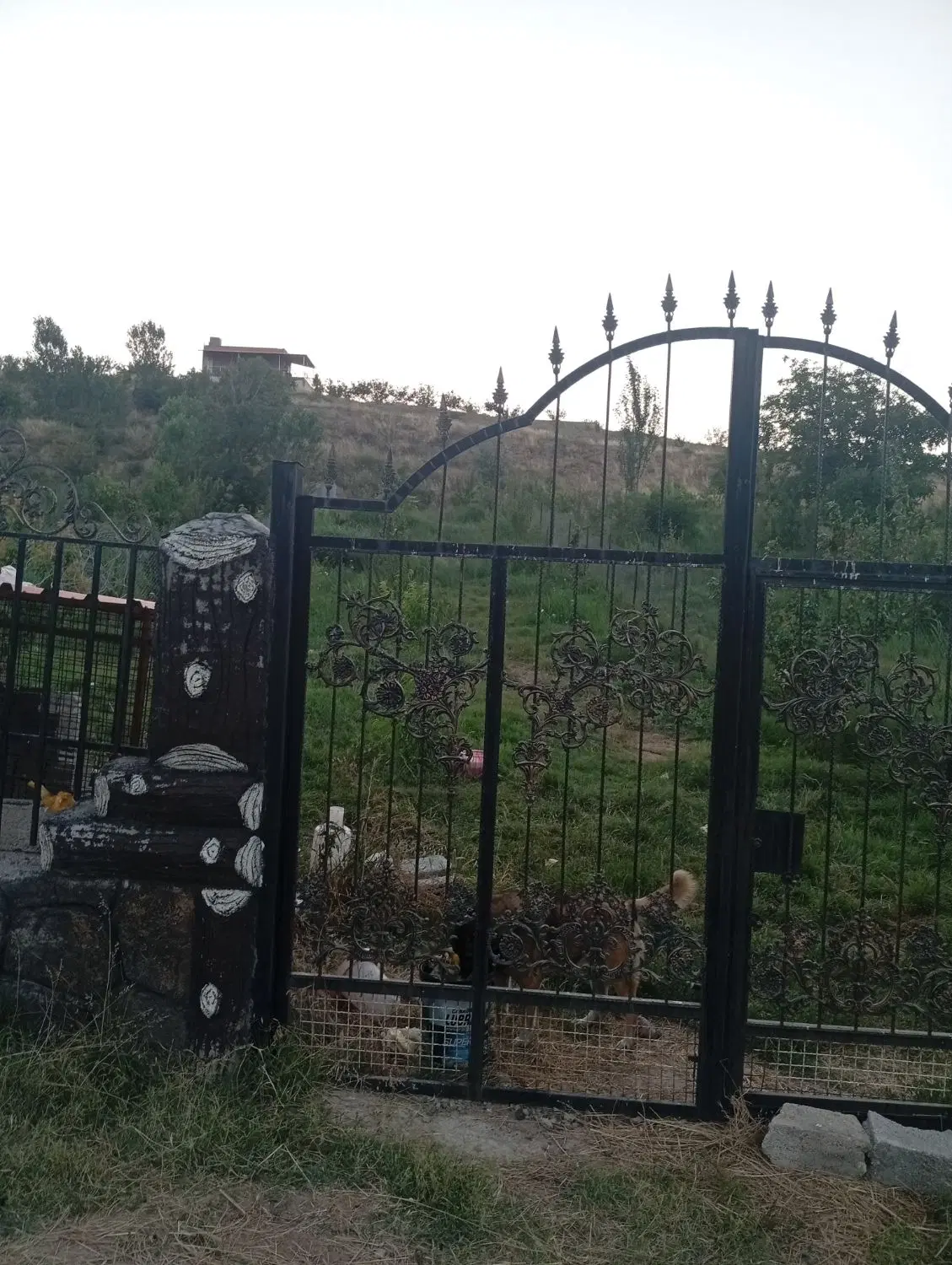 باغ باصفا جای عالی ساکت بهشت ارسباران