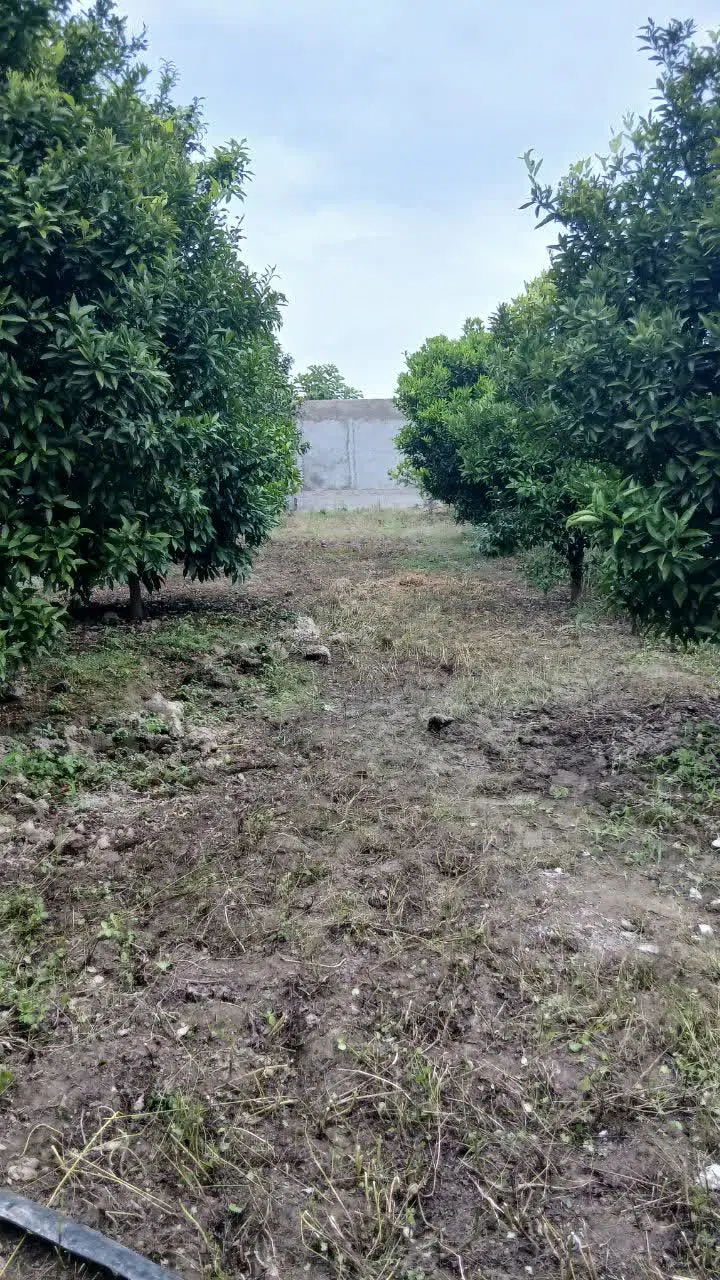 زمین مسکونی ۵۱۵ متر