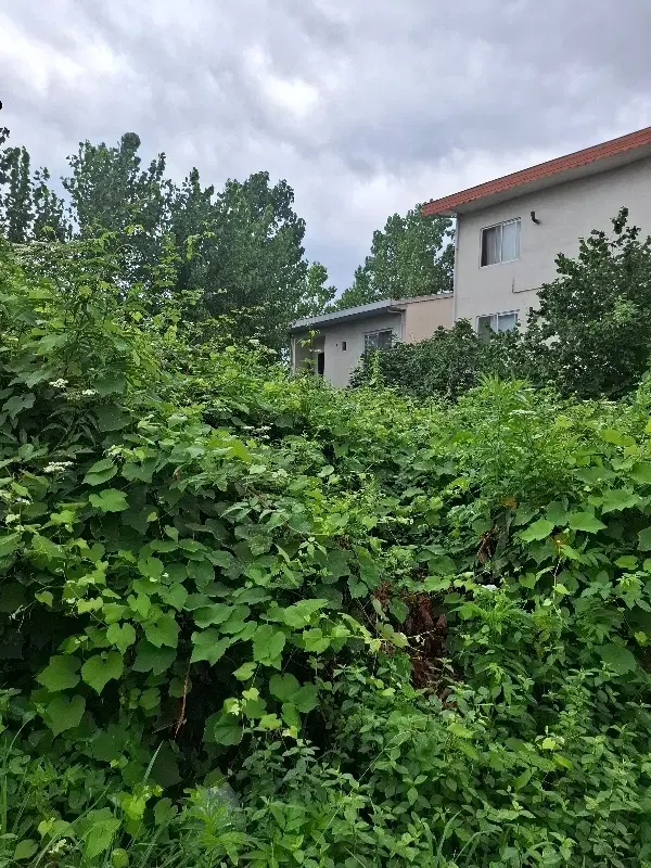 زمین مسکونی سند تک برک