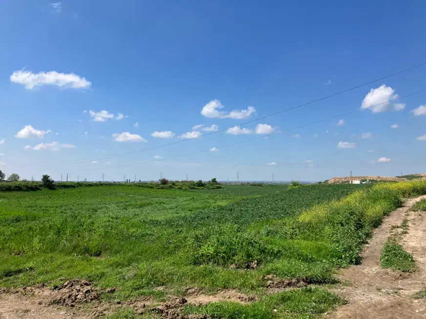 زمین کشاورزی