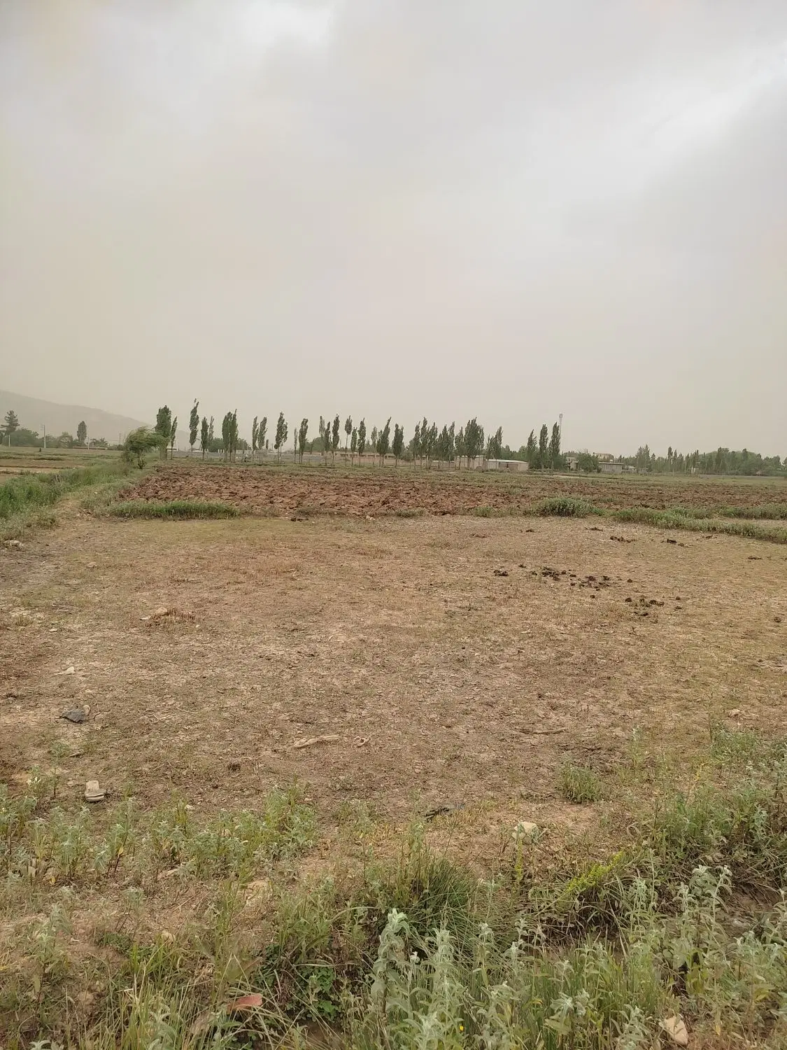250متر زمین در نرگاه یاسوج
