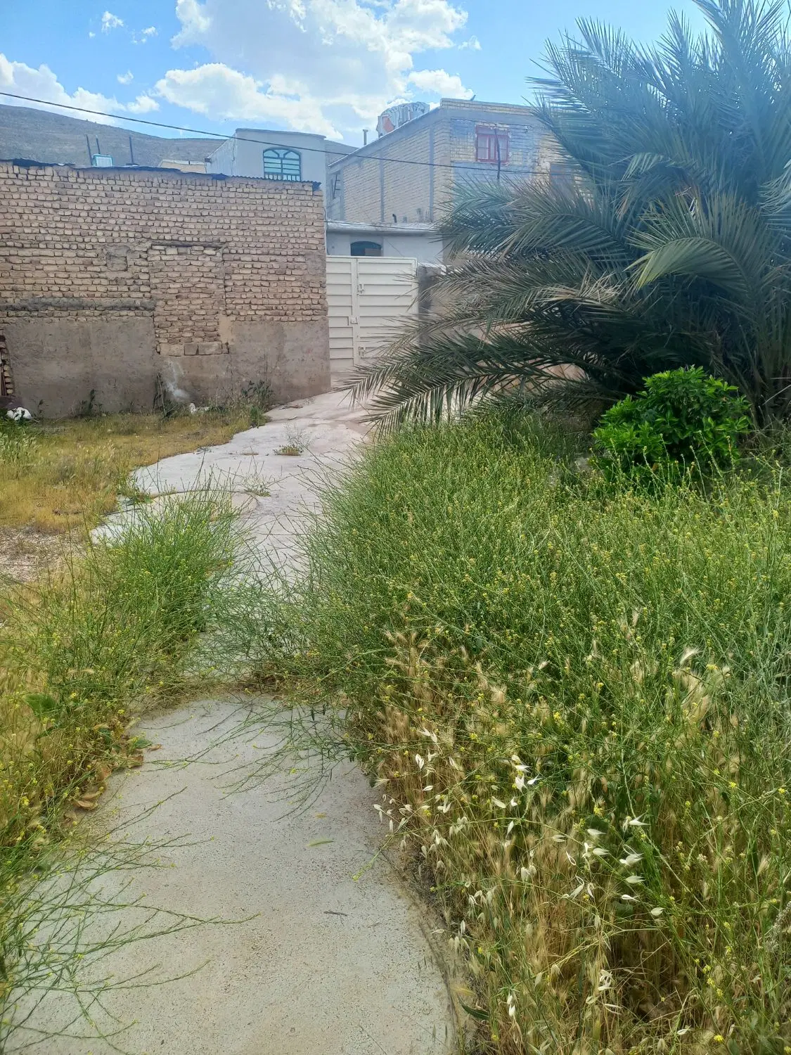 منزلی کلنگی 504 متر شیخ عبود بیضا سند دار