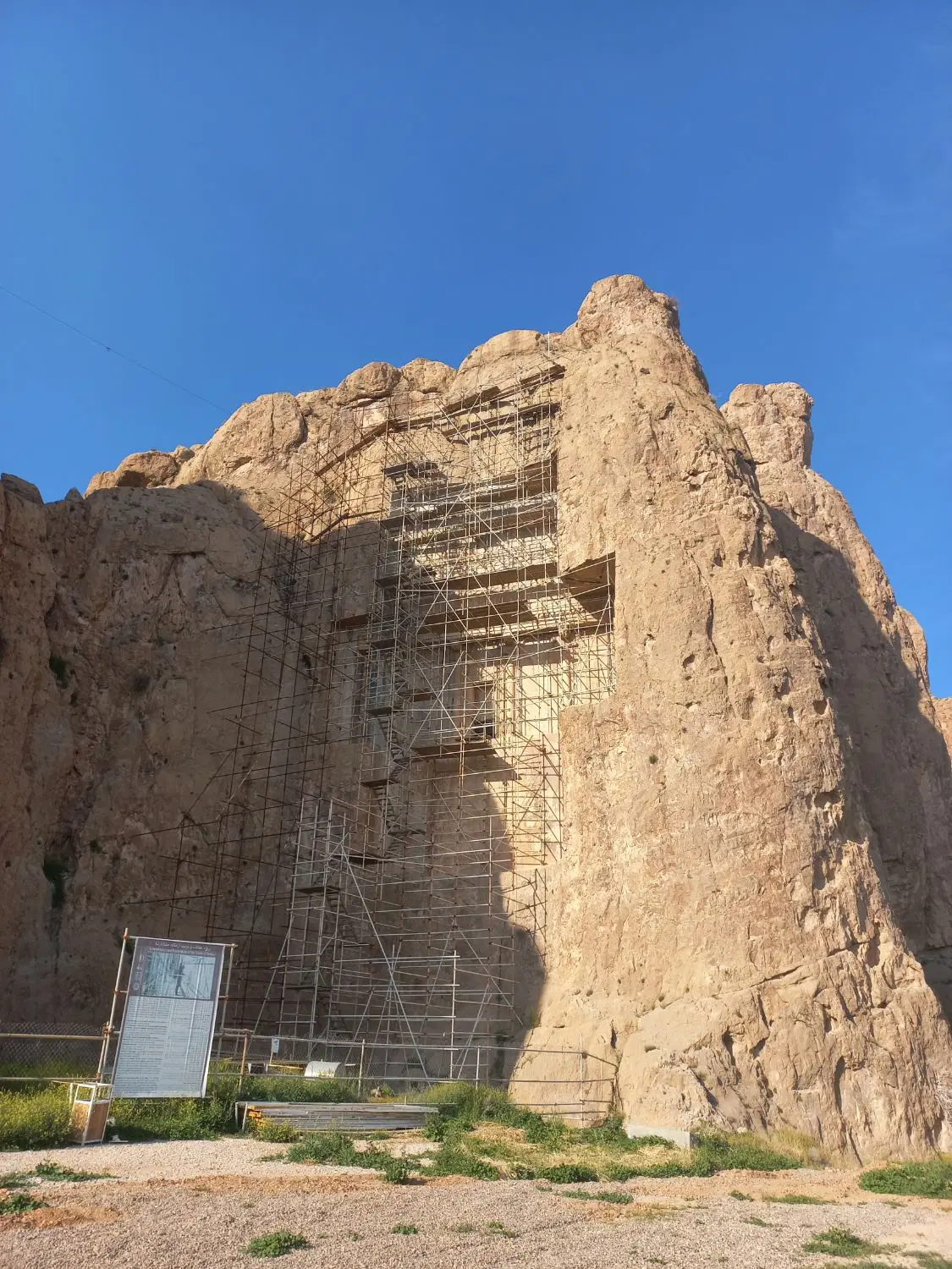 زمین بافنده ۲۴ درب حیاط