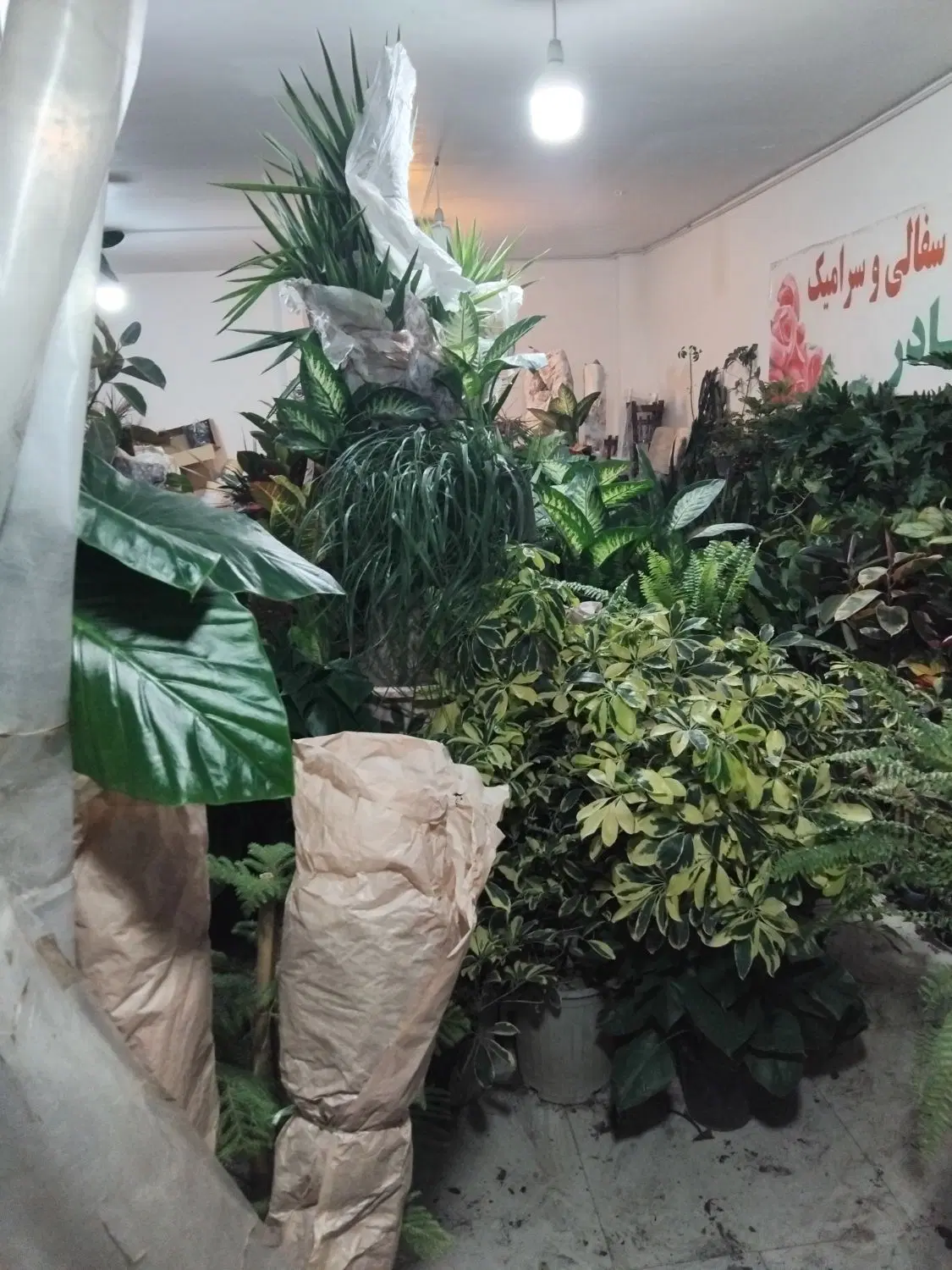 مغازه سلامی 12 فروشی