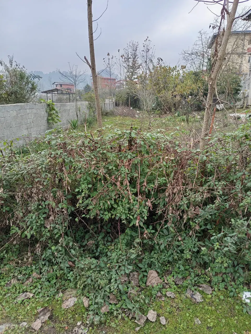 مناسب برای ساخت ویلا، خانه باغ یا سرمایه‌گذاری