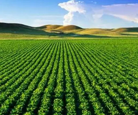 ده هزار زمین کشاورزی با یک ساعت اب