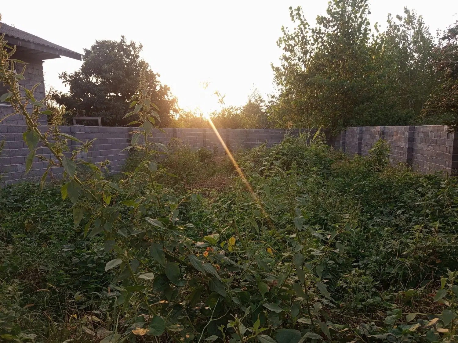 فروش زمین دور حصار با دروازه