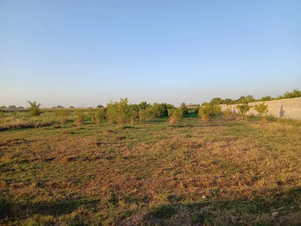 زمین باغچه