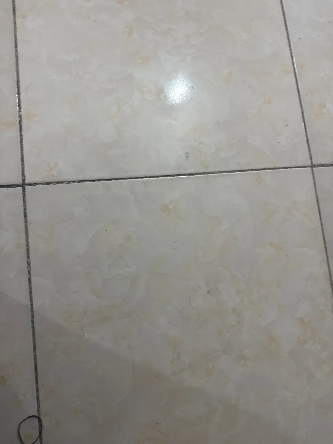 اجاره مغازه روبه رو دادگستری اول بازار اصلی