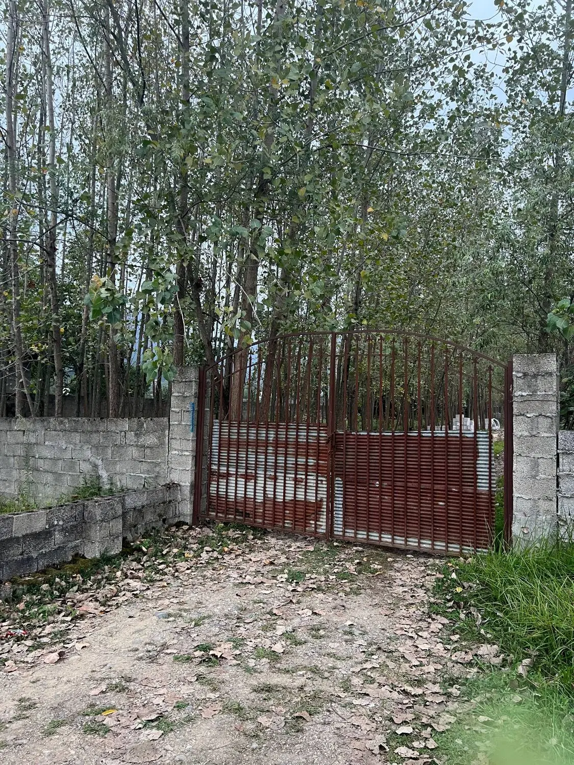360مترزمین باغی در طرح با درخت صنوبر