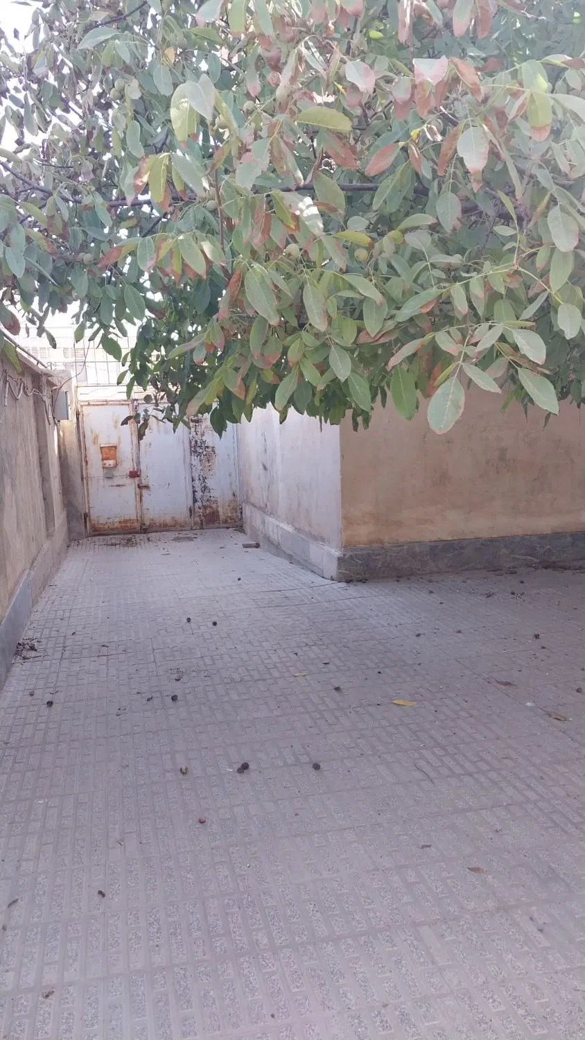 اجاره خانه ۲۱۰ متری شهرک امام