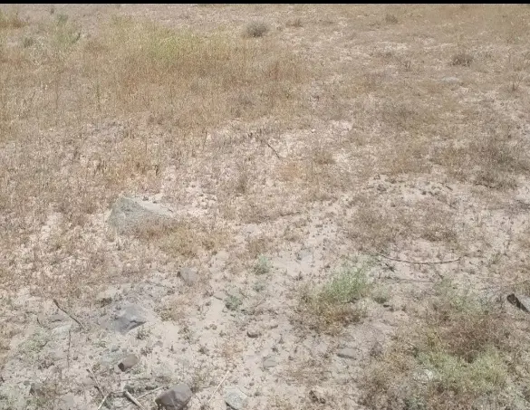 زمین ملکی سند تک‌برگ نبش دو بلوار