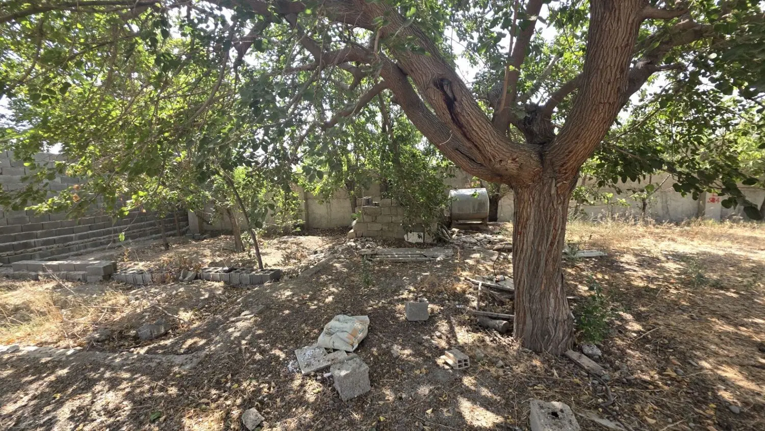 زمین باغی بر خیابان اصلی