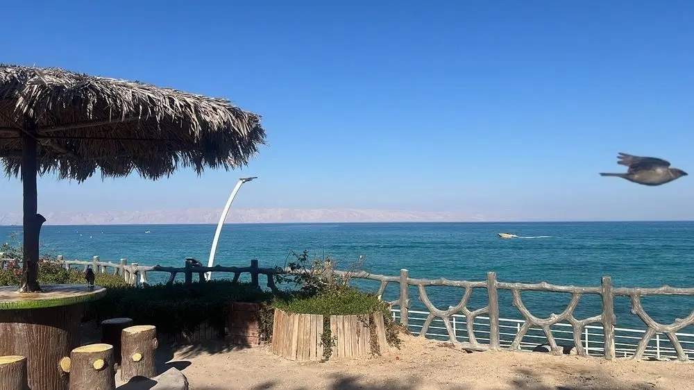 نیازمند همخونه خانم
