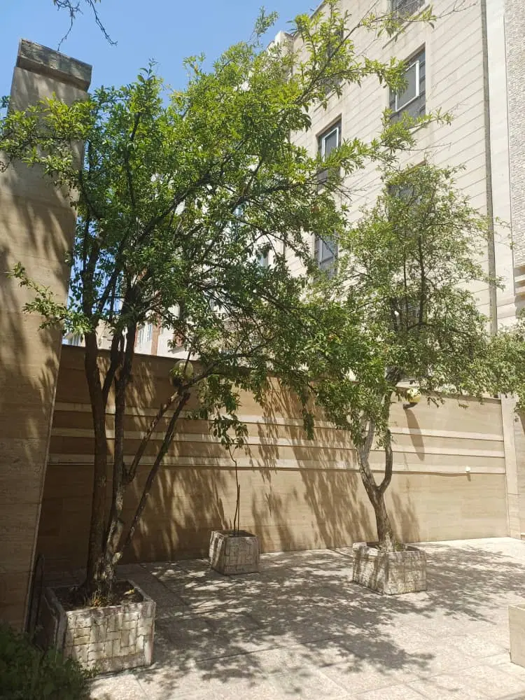 ملک ۱۹۰ متر دو کله بر ۸.۵۰ خیابان ۱۳۹