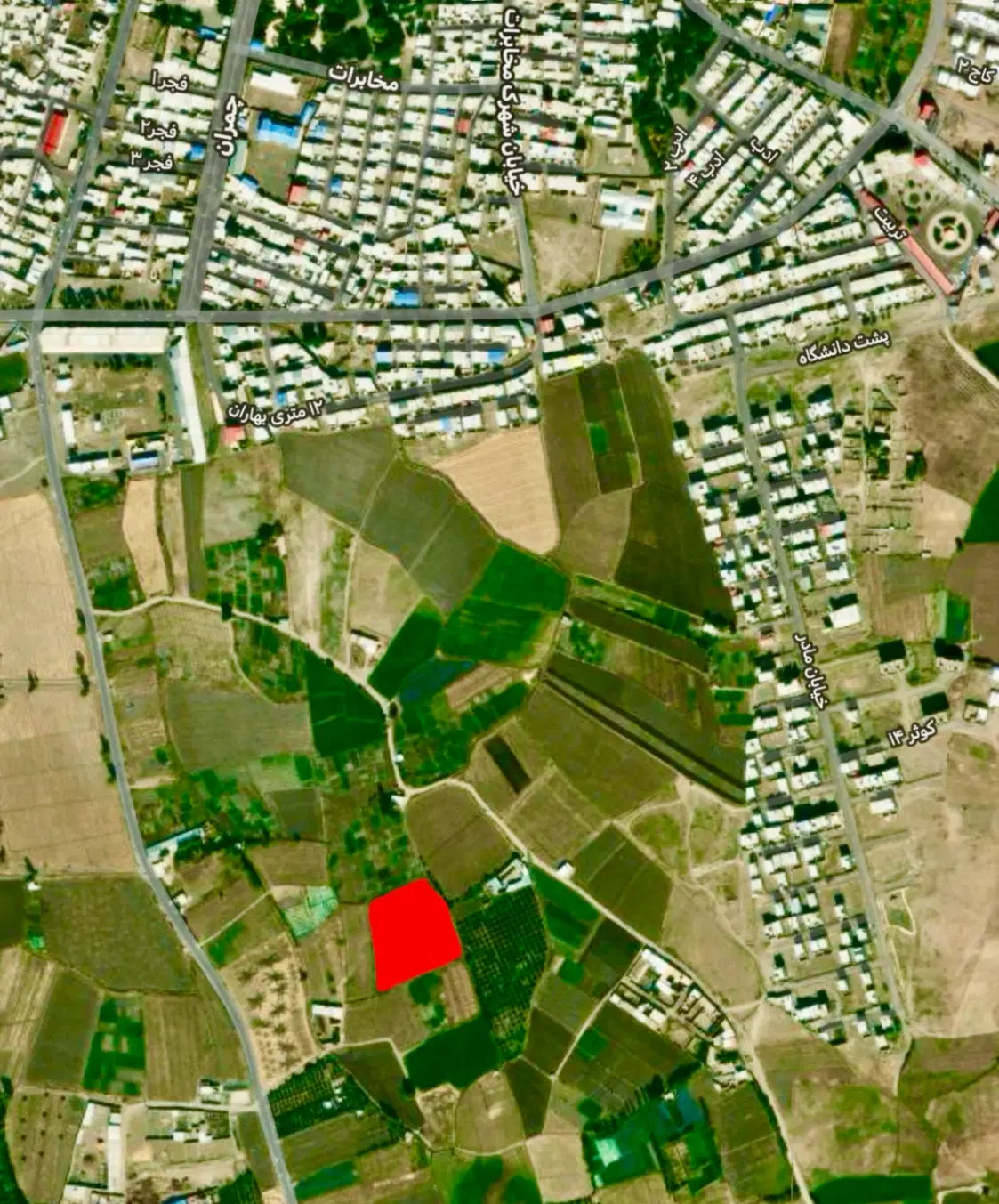 زمین کشاورزی